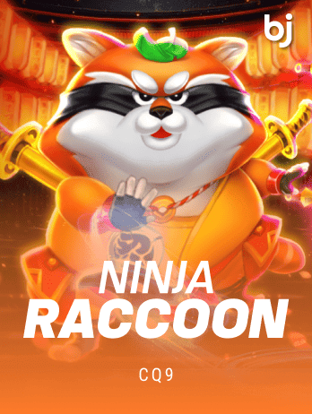 Ninja Raccoonpng
